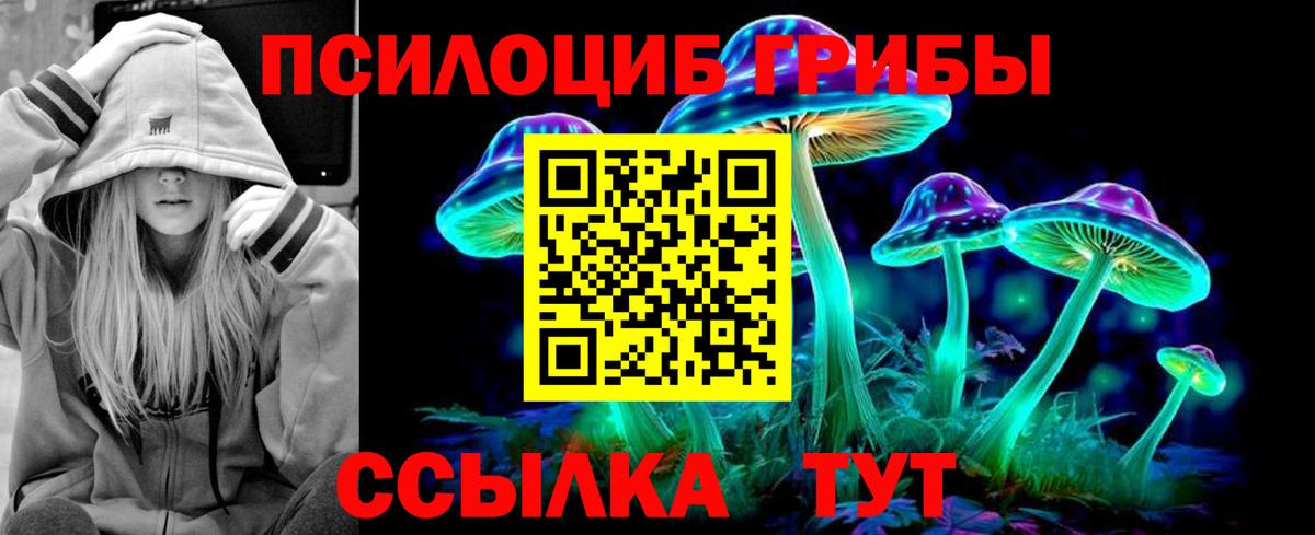 Галлюциногенные грибы GOLDEN TEACHER Ступино